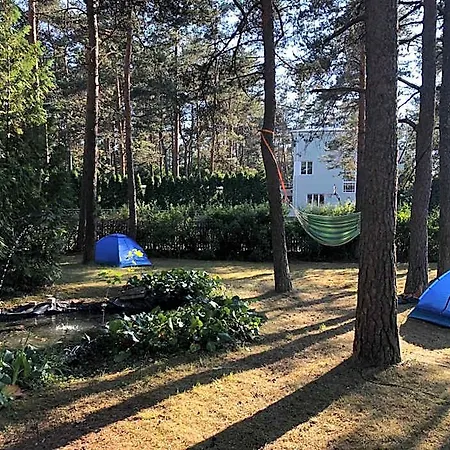 Hostel Freedom65 And Caravan Tallinn