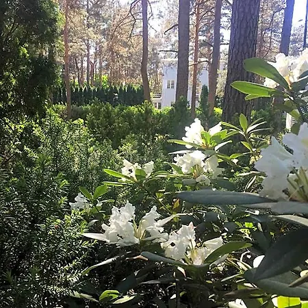 Хостел Freedom65 And Caravan Таллінн