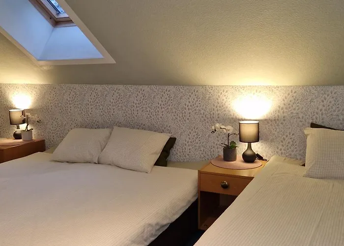 Freedom65 And Caravan Tallinn