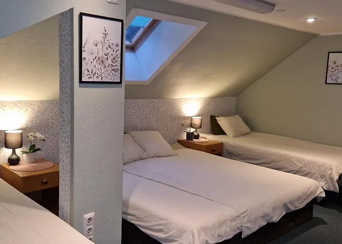 Freedom65 And Caravan Hostel *