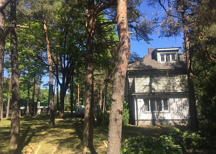 Hostel Freedom65 And Caravan Tallinn