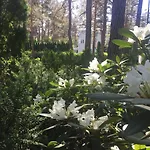 Freedom65 And Caravan Hostel