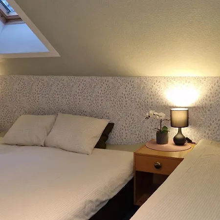 Freedom65 And Caravan Tallin