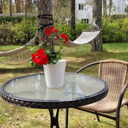 Hostel Freedom65 And Caravan *