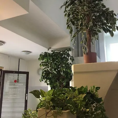 Freedom65 And Caravan Hostel